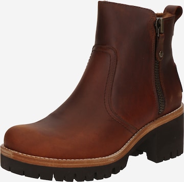 PANAMA JACK Ankle Boots in Brown: front