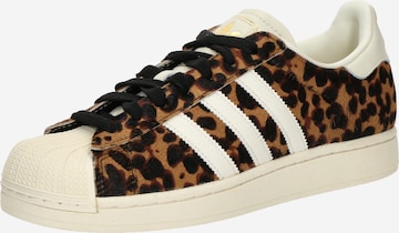 ADIDAS ORIGINALS Sneakers 'Superstar II' in Brown: front